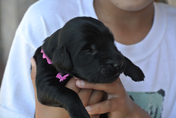 Fiona peeking at 9 days