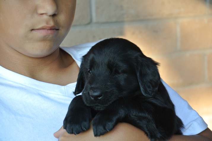 Fiona closeup 4 weeks 2 days