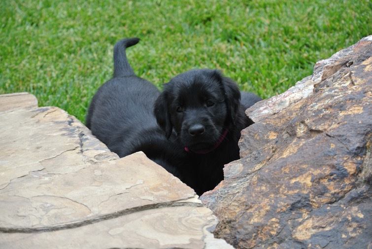 Fiona 5 wks 5 days