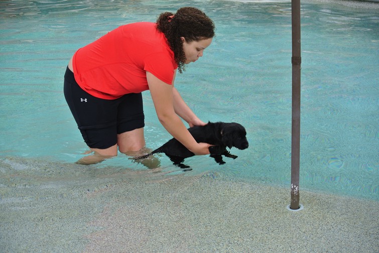 Hali teaches Falafel to swim