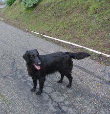 Lola 4yrs7mos - Version 2